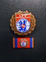 LFV - Ehrennadel Bronze