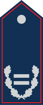 Abzeichen FF - BrI - Bild LFV-NDS