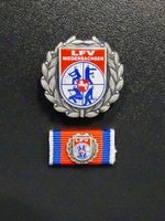 LFV-Ehrennadel Silber