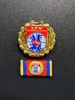LFV - Ehrennadel Gold