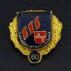 Ehrennadel Gold 60