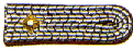 Abzeichen